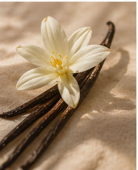 Organic Vanilla Extract