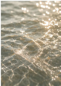 Purified Water